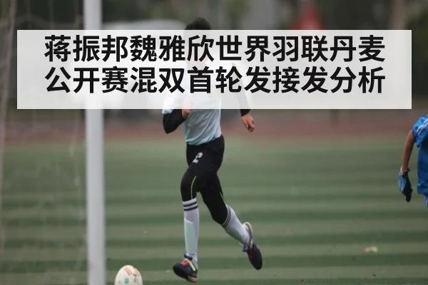 蒋振邦魏雅欣世界羽联丹麦公开赛混双首轮发接发分析